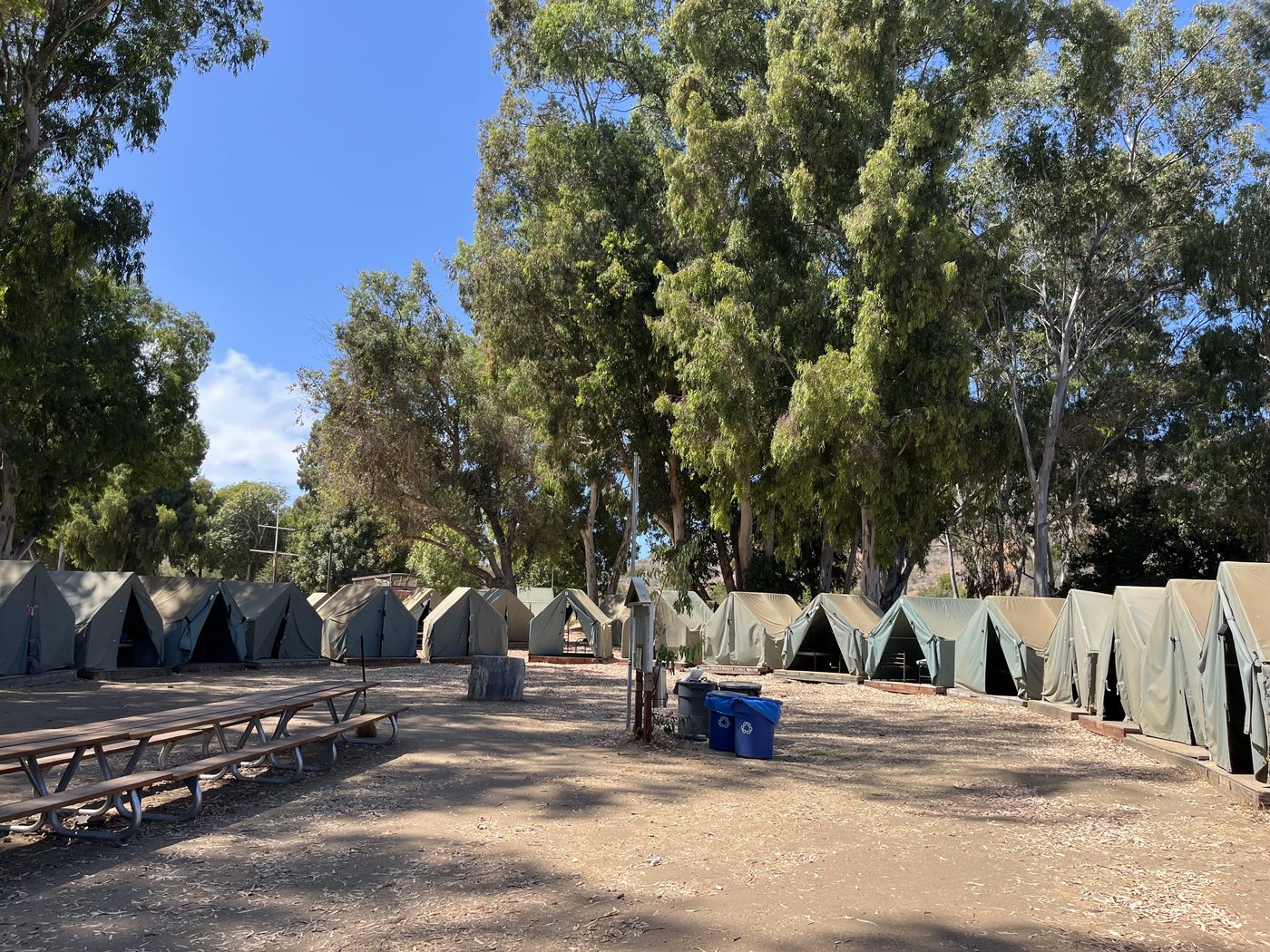 Rows of canvas tents at the island camp under the trees